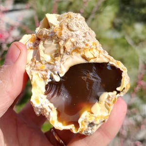 Wholesale Raw Honey Chalcedony Nodules 1 kg Rough for Cabbing Lapidary image 8