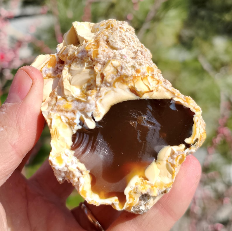 Wholesale Raw Honey Chalcedony Nodules 1 kg Rough for Cabbing Lapidary image 8