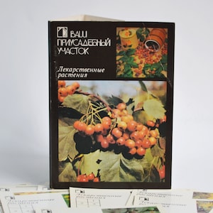 Sowjetische Sammelpostkarten 18er Set. Gesunde Pflanzen. Heilpflanzen. UdSSR Botanisches Postkarten-Set. Pflanzen Druck Set. UdSSR 1988