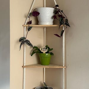 3 Tier Triangle Macrame Shelf: Boho Plant Hanger Wall Decor