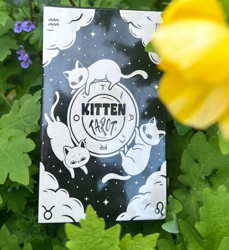 Adorable Kitten Tarot Deck - B&W Oracle Cards - Pocket Size - Etsy