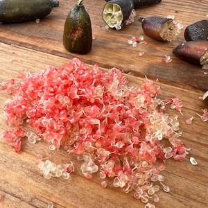 Red pulp finger lime seeds