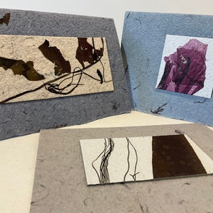 Alguiers, cartes de souhait. Seaweed art card