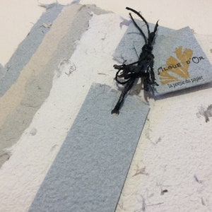 4 sheets (8.5" x 11) hand made rag paper with seaweed