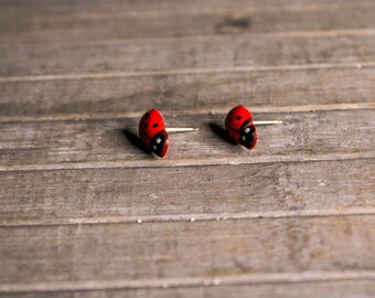 ladybird presents