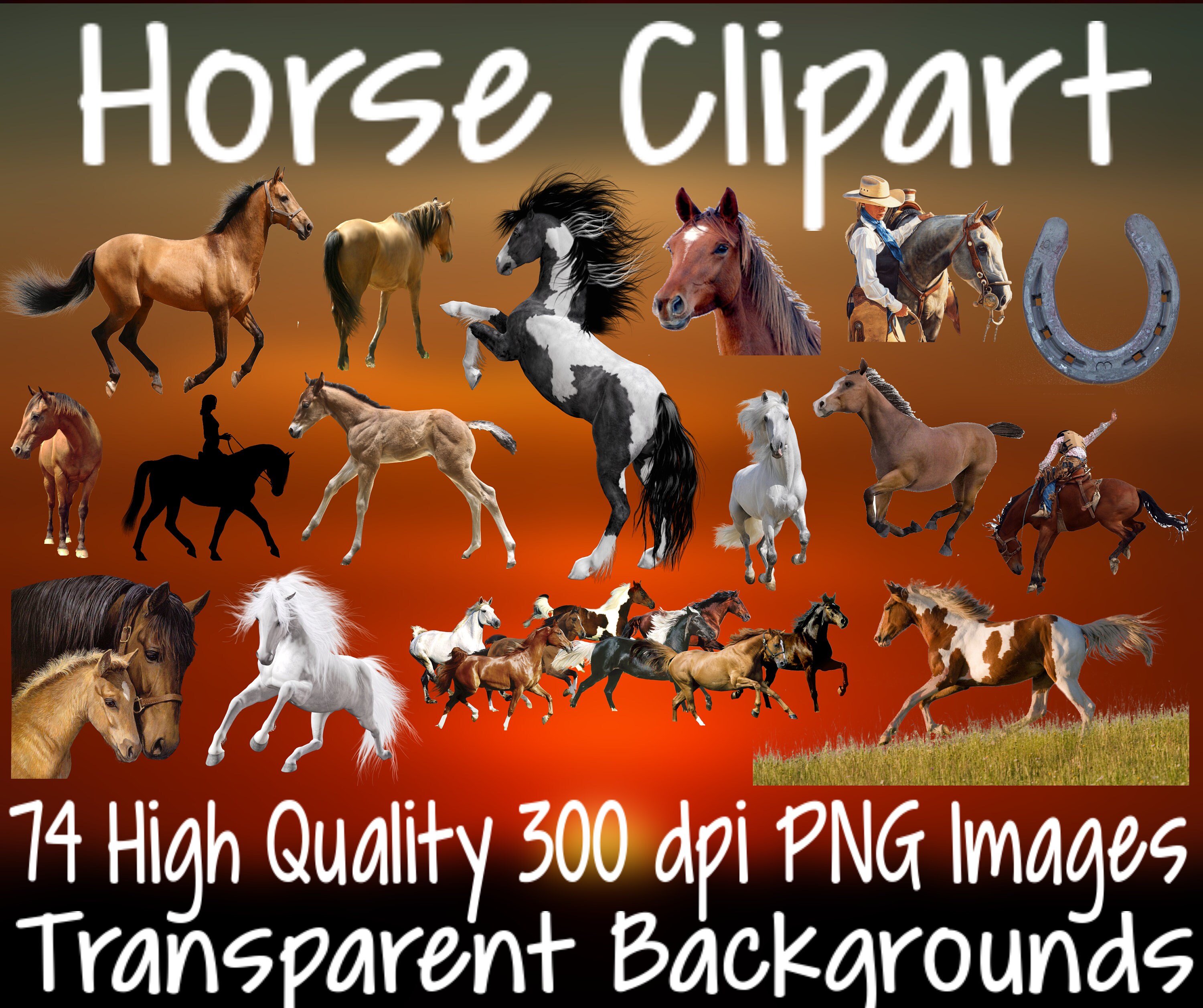 Horses Clipart Set 74 PNG 300 dpi PNG Transparent Background Images Instant Digital Download Clip Art Animal Cowboy Cowgirl Animals Pet Farm