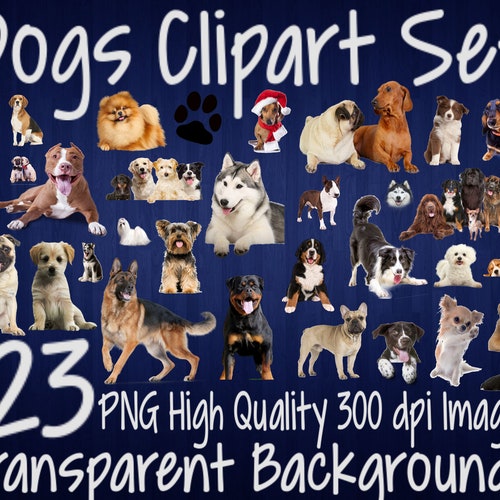 Why Are Dogs Pack Animals