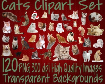 Cats Clipart Pack 123 PNG 300 dpi PNG Transparent Background Images Instant Digital Download Clip Art Animal Pets Animals Pet High Quality