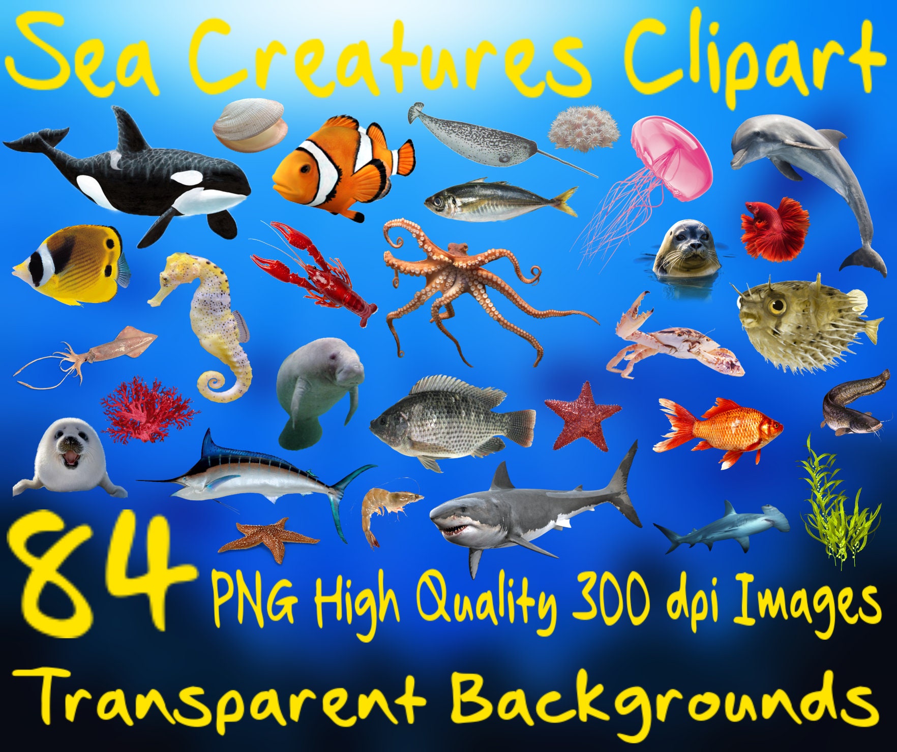 Sea Creatures Clipart Set 84 PNG 300 Dpi PNG Transparent Background Images  Instant Digital Download Clip Art Animal Animals Fish Ocean Sea 