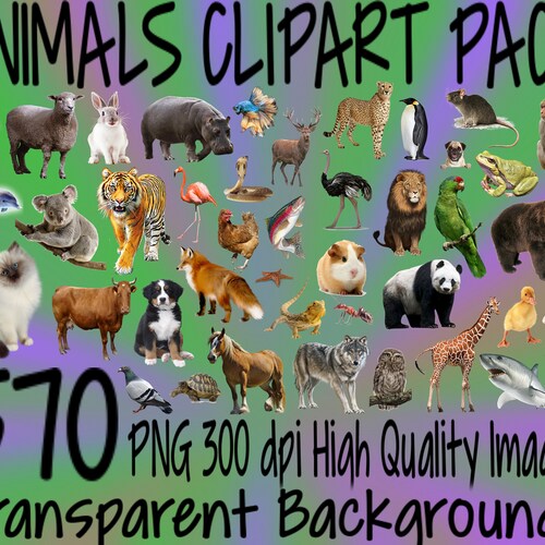 Animals Clipart Mega Pack 570 PNG 300 Dpi PNG Transparent - Etsy Ireland Animals Clipart Mega Pack 570 PNG 300 Dpi PNG Transparent - Etsy Ireland