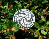 Growth Coin