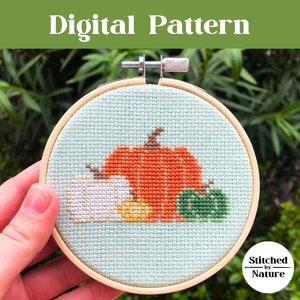 Pattern Colorful Pumpkins Cross Stitch | 4 inch Easy Cross Stitch Pattern | Halloween | Thanksgiving | Fall