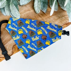 UCLA Dog Bandana Over the Collar College Dog Bandana Bruins Dog Bandana College Cat Bandana UCLA Pet Clothes