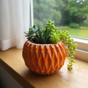 May include: An orange ceramic plant pot with a geometric pattern, containing a selection of succulents. The pot is on a wooden windowsill, with a white curtain and a green outdoor view in the background. The succulents include a zebra plant and a trailing succulent.