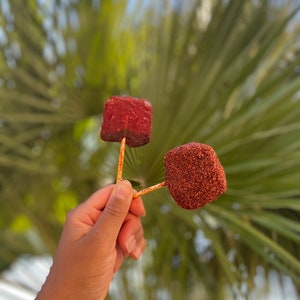 Iced Above Jumbo Mango and Pineapple flavored Chile Lollipops / Paletas covered in Tamarindo and homemade spices