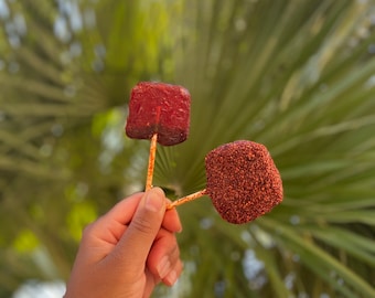 Iced Above Jumbo Mango and Pineapple flavored Chile Lollipops / Paletas covered in Tamarindo and homemade spices