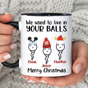 We Use To Live In Your Balls Mug, Personalized Christmas Mug, Funny Christmas Gifts, Funny Gifts For Dad, Dad Mug, Grandpa Mug, Dad Gift