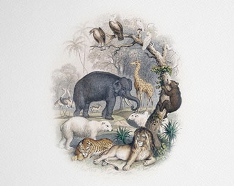 Vintage Animals Nursery Art PRINTABLE, Noah's Ark Themed Drawing, Sophisticated Christian Kids Room Decor
