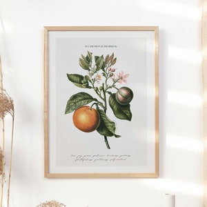 Fruit of the Spirit Botanical Print: Christian Scripture Wall Art (Digital Download)