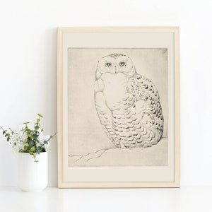 Snowy Owl PRINTABLE, Vintage Magical Owl Drawing, Animal Wizard Wall Art, Subtle Nursery Kids Decor, Literary Poster