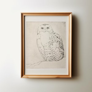 May include: A framed black and white drawing of a snowy owl perched on a branch. The owl is facing the viewer with its wings folded.