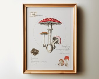 Lámina botánica de herbología: Gráfico de hongos vintage (descarga digital)