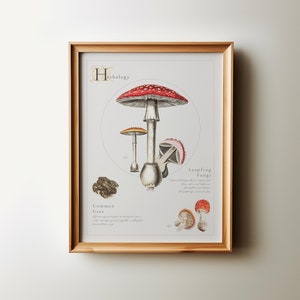 Kräuterkunde Poster, Botanische Zeichnung, Vintage Wand Kunst Druck, Antike Kinderzimmer Küche Bauernhaus Home Decor