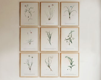 God's Grandeur by Gerald Manley Hopkins, Botanical Wall Art Poetry set of 9, Vintage Flower Drawings Gallery Art, Literary Decor PRINTABLES