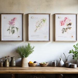 Anne of Green Gables Art Prints Set of 3: Vintage Floral Drawings (Digital Download)