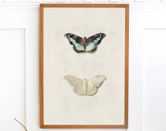 Stampa vintage di farfalle, arte murale di insetti, disegno di farfalle, dipinto antico in stile boho in stile fattoria