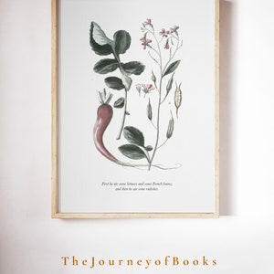 K&ouml;nnte beinhalten: Eine gerahmte botanische Illustration einer Radieschenpflanze mit rosa Bl&uuml;ten und gr&uuml;nen Bl&auml;ttern. Der Text unter dem Bild lautet: "First he ate some lettuces and some French beans; and then he ate some radishes." Am unteren Rand des Rahmens steht der Text "The JourneyofBooks Art at home."