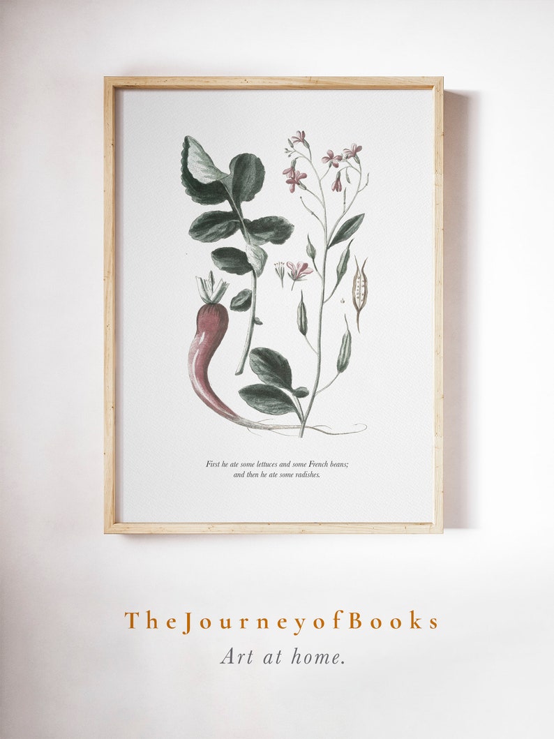 K&ouml;nnte beinhalten: Eine gerahmte botanische Illustration einer Radieschenpflanze mit rosa Bl&uuml;ten und gr&uuml;nen Bl&auml;ttern. Der Text unter dem Bild lautet: "First he ate some lettuces and some French beans; and then he ate some radishes." Am unteren Rand des Rahmens steht der Text "The JourneyofBooks Art at home."