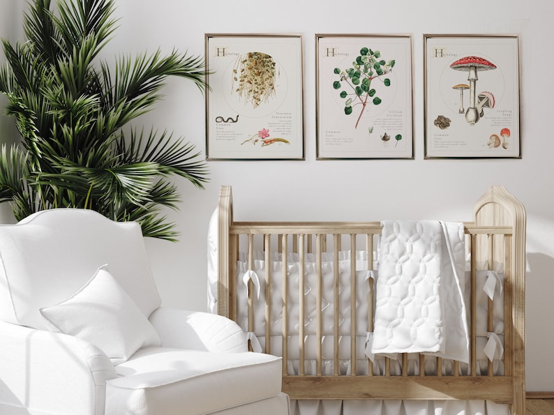 Three herbology designs all inspired by vintage botanical drawings.