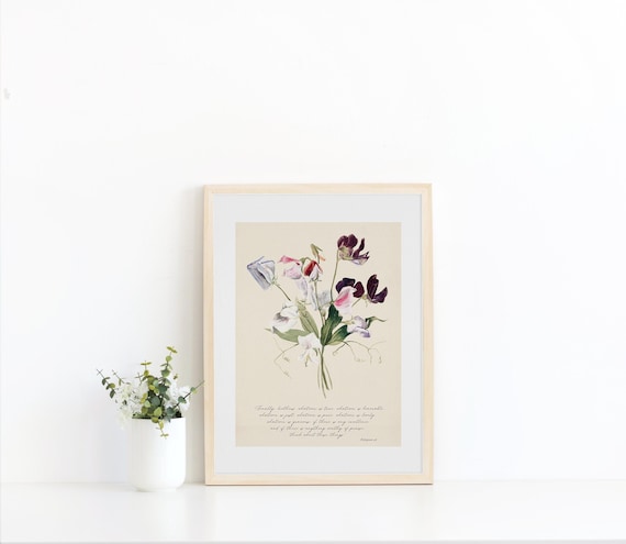 Sweet Pea Bouquet Vintage Scripture Art Print, Philippians 4:8 (Digital Download)
