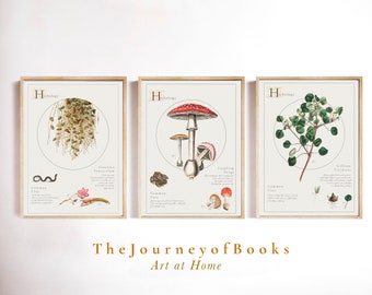 Herbology Set of Three Botanical Art, Vintage Botany Drawing, Farmhouse Nursery Kitchen Decor, Wizard Inspired Poster, Antique Herb Print