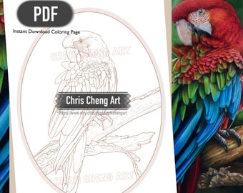 Coloring Page "PARROT" | Instant Download Printable File (PDF)