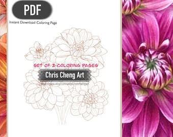 Set of 2 Coloring Pages "DAHLIA" (Dark & Light Version) | Instant Download Printable Files (PDF)
