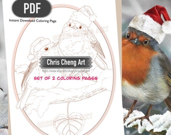 Set of 2 Coloring Pages "CHRISTMAS BIRDS" | Instant Download Printable Files (PDF)