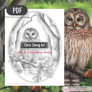 Op de afbeelding: Een zwart-witte kleurplaat met een barred owl die op een tak zit met eikels. De uil is omringd door bladeren en takken. De tekst "Chris Cheng Art" en "Set of 2 Coloring Pages" staat op de pagina.