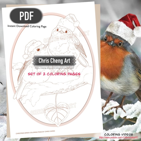 Set of 2 Coloring Pages "CHRISTMAS BIRDS" | Instant Download Printable Files (PDF)
