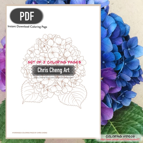 Set of 2 Coloring Pages "HYDRANGEA" (Dark & Light Version) | Instant Download Printable Files (PDF)