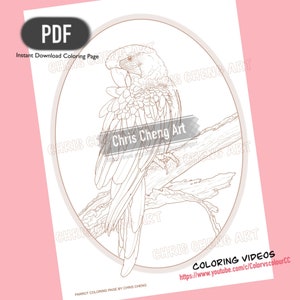 Coloring Page PARROT Instant Download Printable File PDF zdjęcie 2