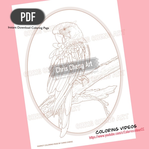 Coloriage « PERROQUET » | Fichier imprimable à téléchargement immédiat (PDF)