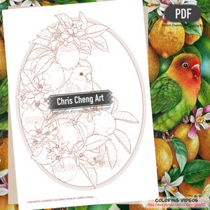 Puede incluir: Una página para colorear en PDF imprimible con un inseparable de Fischer posado entre limones y flores. El diseño está enmarcado dentro de un óvalo e incluye el texto "Chris Cheng Art". La página está etiquetada como "Fischer's Lovebird Coloring Page by Chris Cheng".