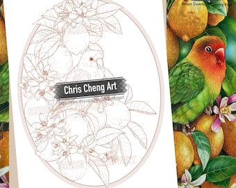 Coloring Page "FISCHERS LOVEBIRD" | Instant Download Printable File (PDF Format)