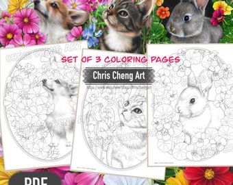 Set of 3 Coloring Pages "PETS" | Instant Download Printable Files (PDF)