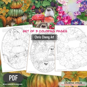 May include: Set of three printable coloring pages featuring a pumpkin patch, a hedgehog in a forest, and a garden with morning glories. The pages are black and white and ready to be colored.
