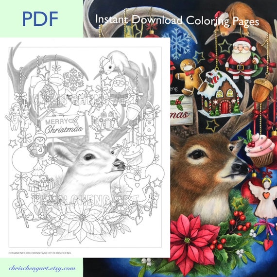 Set of 2 Coloring Pages ornaments Instant