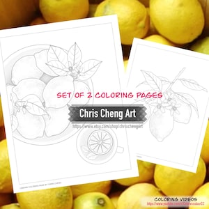 Set of 2 Coloring Pages | LEMONS - Kitchen Arts | Instant Download Printable File (PDF)