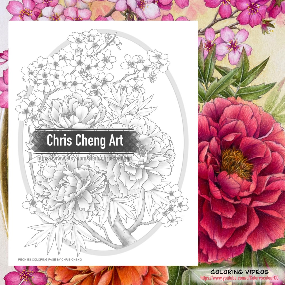 Set of 2 Coloring Pages "peonies" | Instant Download Printable Files ...